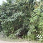 listing image thumbnail with ID 95441