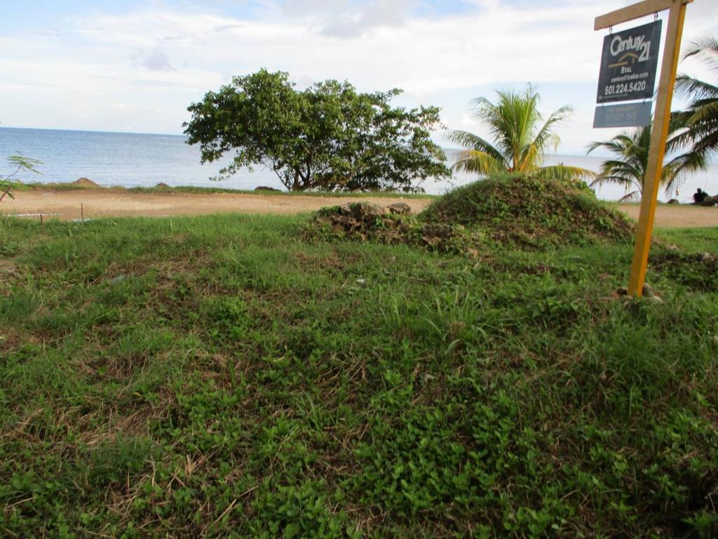 listing image with ID 77160