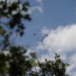 listing image thumbnail with ID 89734