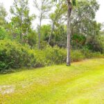 listing image thumbnail with ID 82655