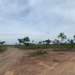 listing image thumbnail with ID 100772