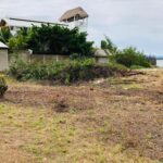 listing image thumbnail with ID 81408