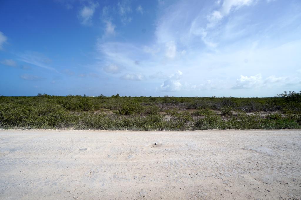 listing image with ID 108558