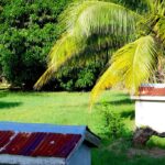 listing image thumbnail with ID 108215