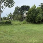 listing image thumbnail with ID 93556