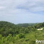 listing image thumbnail with ID 92660