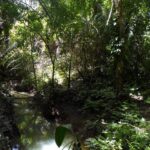 listing image thumbnail with ID 92477