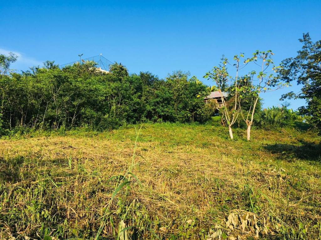 listing image with ID 101845