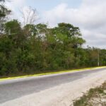 listing image thumbnail with ID 102333