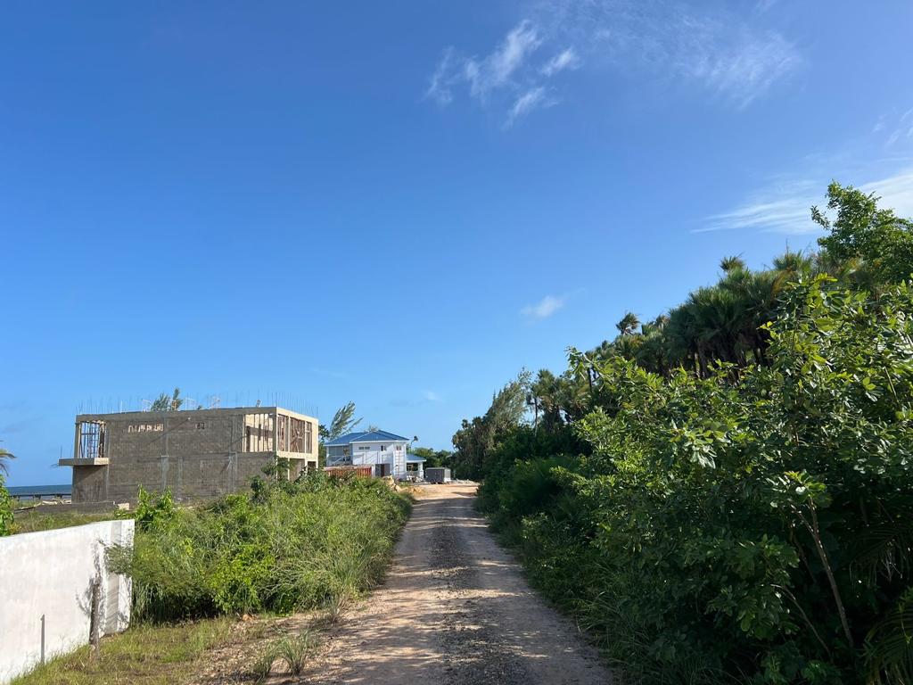 listing image with ID 102424