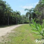 listing image thumbnail with ID 75664