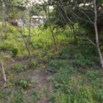 listing image thumbnail with ID 95285