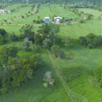 listing image thumbnail with ID 75801