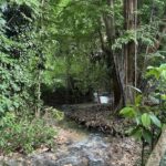 listing image thumbnail with ID 94243