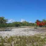listing image thumbnail with ID 84981