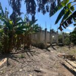 listing image thumbnail with ID 78447