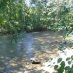 listing image thumbnail with ID 98959