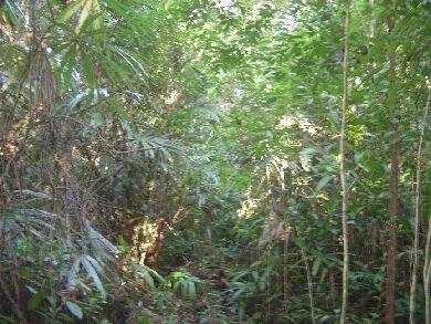 listing image with ID 85063