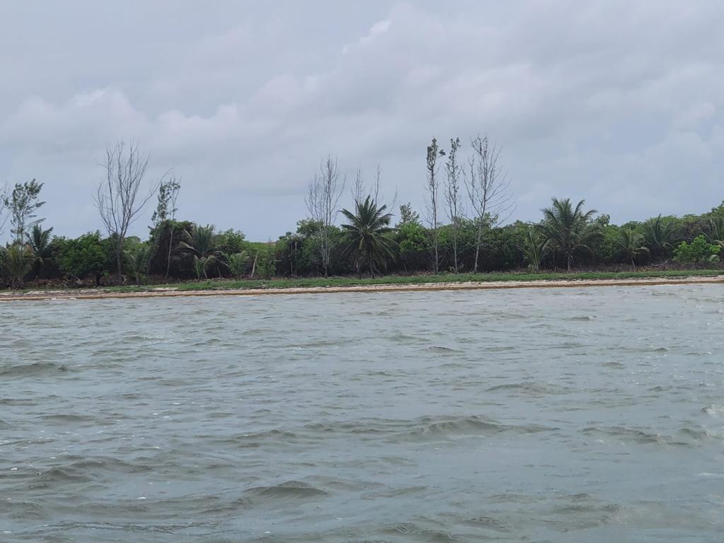 listing image with ID 84424