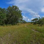 listing image thumbnail with ID 108604