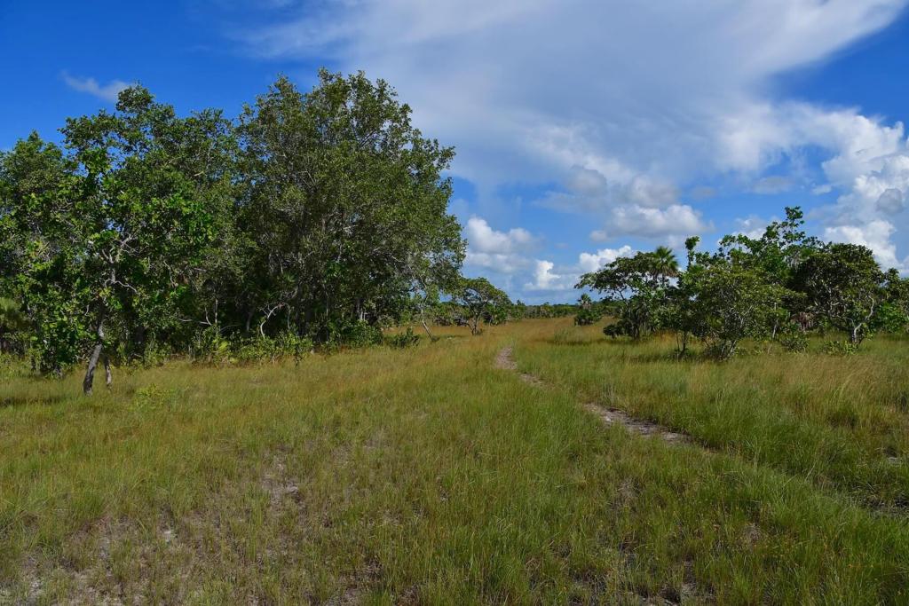 listing image with ID 108604