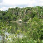 listing image thumbnail with ID 98296