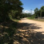 listing image thumbnail with ID 78433