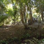 listing image thumbnail with ID 77028