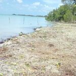 listing image thumbnail with ID 108040