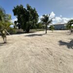 listing image thumbnail with ID 100554