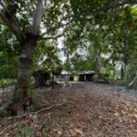 listing image thumbnail with ID 76885