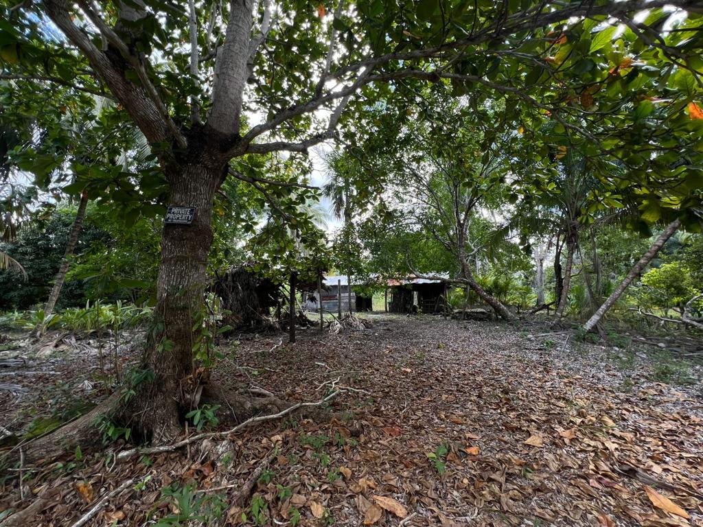 listing image with ID 76885