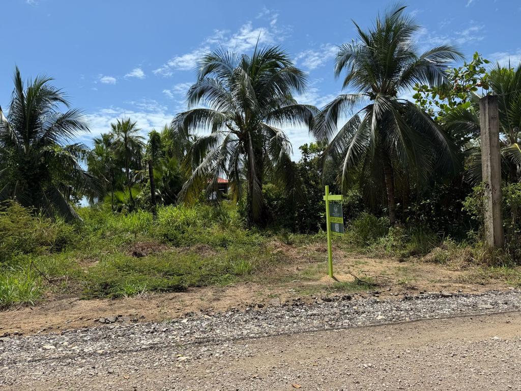 listing image with ID 92185