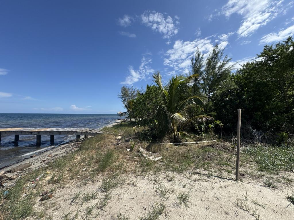listing image with ID 79577