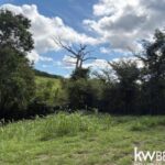 listing image thumbnail with ID 84447