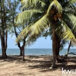 listing image thumbnail with ID 87078