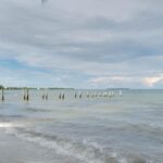 listing image thumbnail with ID 78085
