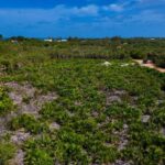 listing image thumbnail with ID 107784