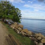 listing image thumbnail with ID 77176