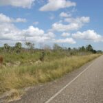 listing image thumbnail with ID 97259