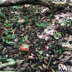 listing image thumbnail with ID 94453