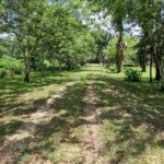 listing image thumbnail with ID 106038