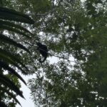 listing image thumbnail with ID 95847