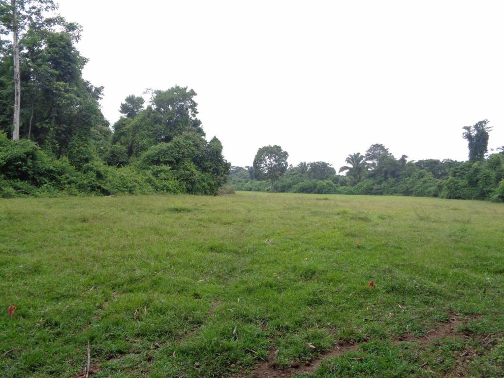listing image with ID 104434