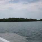 listing image thumbnail with ID 87353