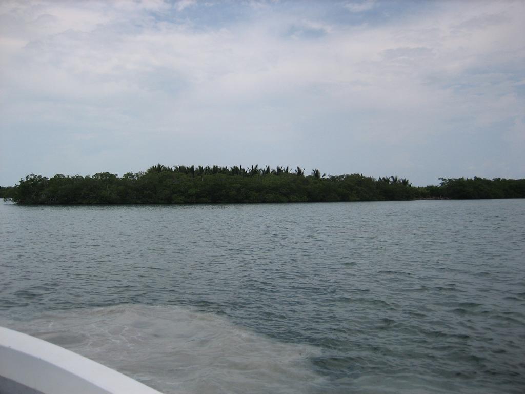 listing image with ID 87353