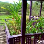 listing image thumbnail with ID 98478
