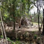 listing image thumbnail with ID 87450