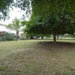 listing image thumbnail with ID 86680