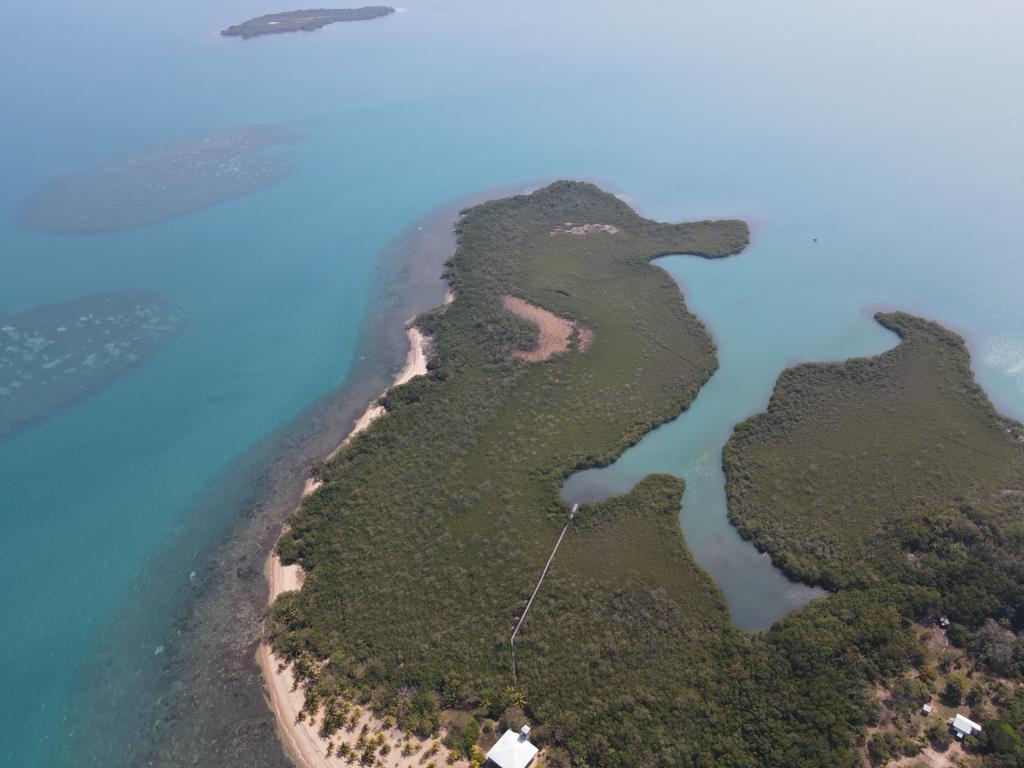 listing image with ID 99600